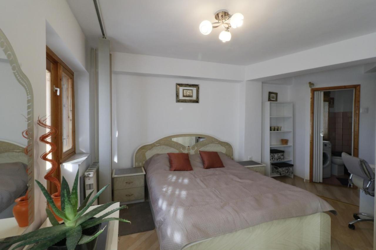 יאשי Danielle Apartament מראה חיצוני תמונה